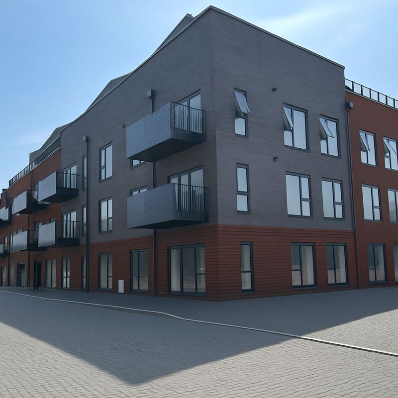 Main Image
